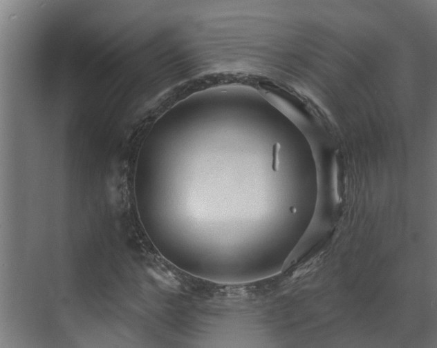 X0000071330968200606261242