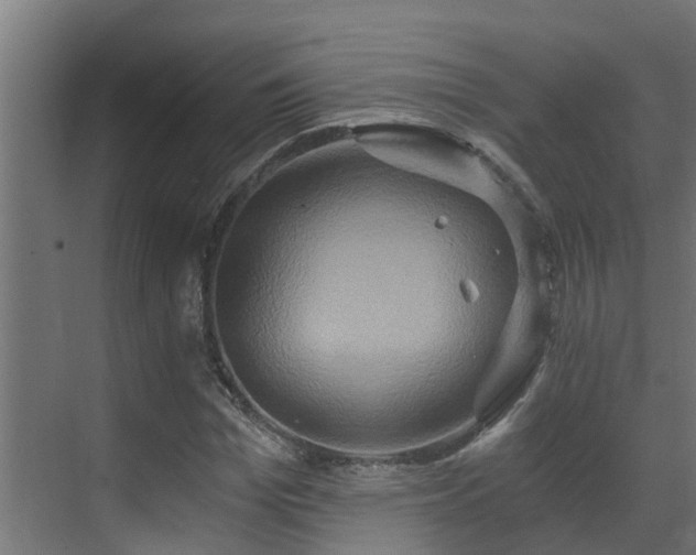 X0000071330969200606261242