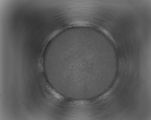 X0000071330970200606261242