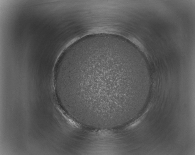 X0000071330974200606261242