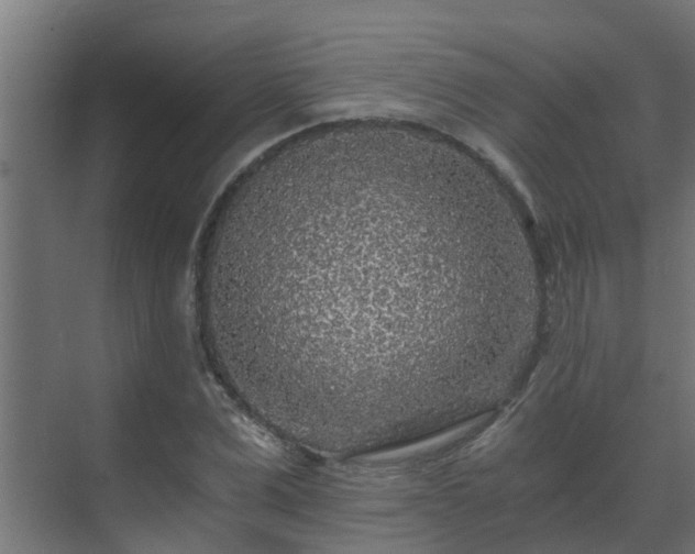 X0000071330975200606261242