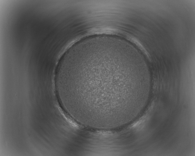 X0000071330978200606261242