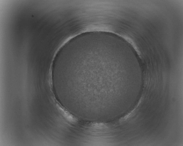 X0000071330982200606261242