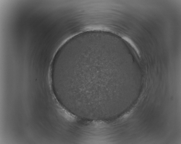 X0000071330983200606261242