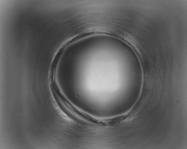 X0000071330987200606261242