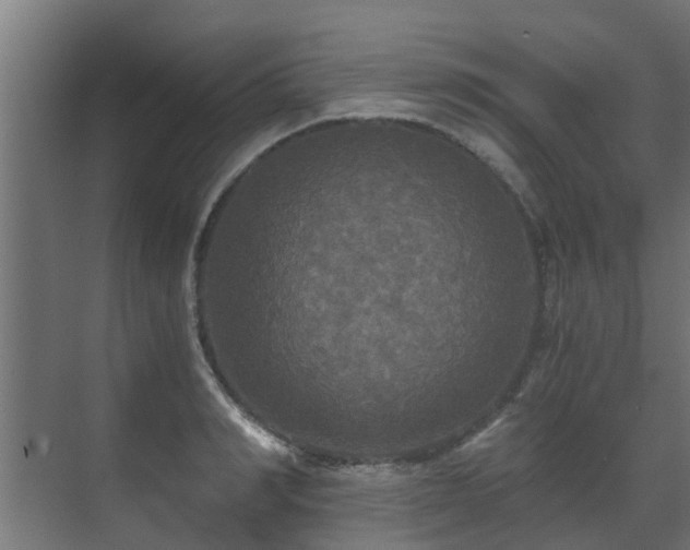 X0000071330990200606261242