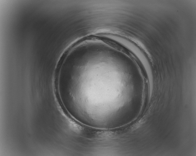 X0000071330991200606261242