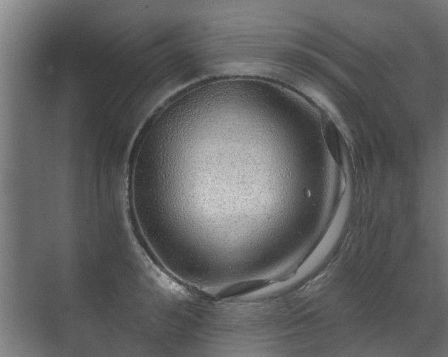 X0000071330992200606261242