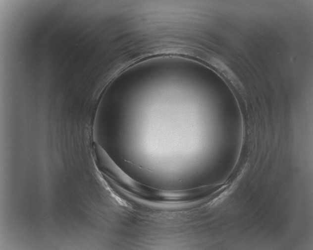 X0000071330993200606261242