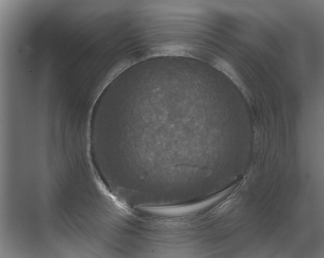 X0000071330994200606261242