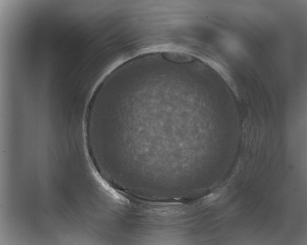 X0000071330998200606261242