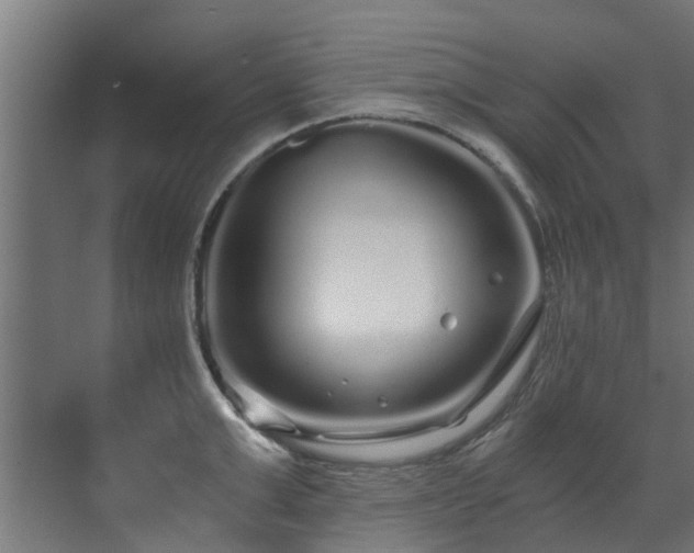 X0000071330999200606261242