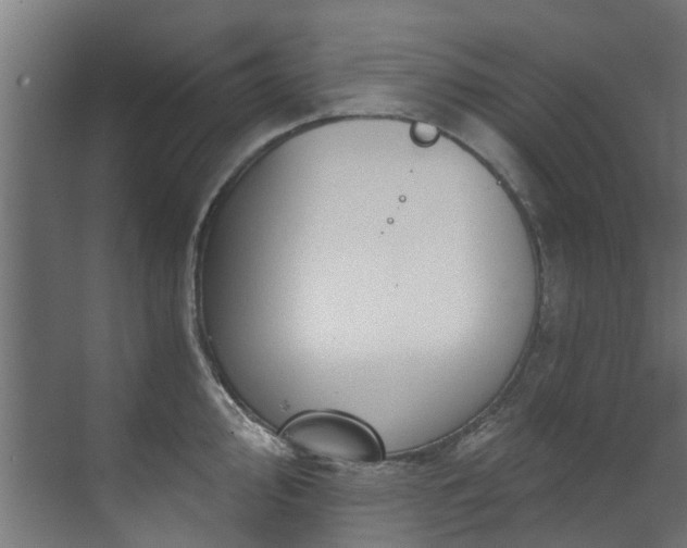 X0000071331000200606261242