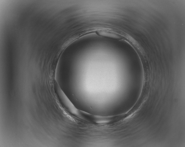 X0000071331001200606261242