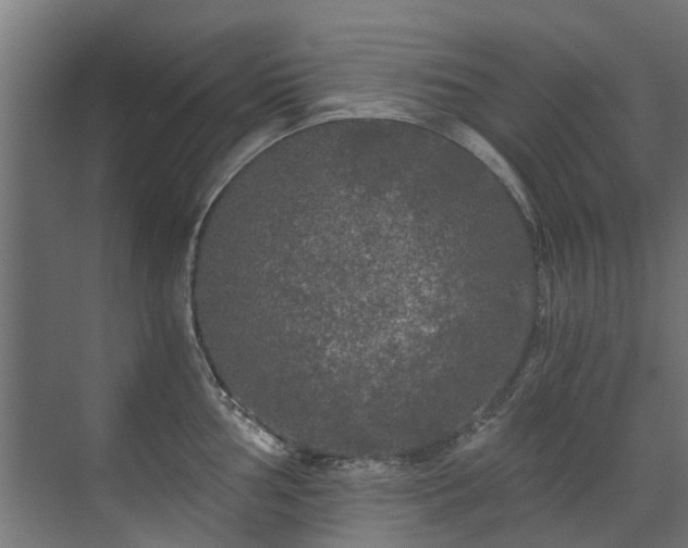 X0000071331002200606261242