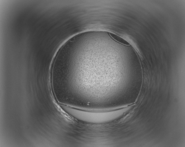 X0000071331004200606261242