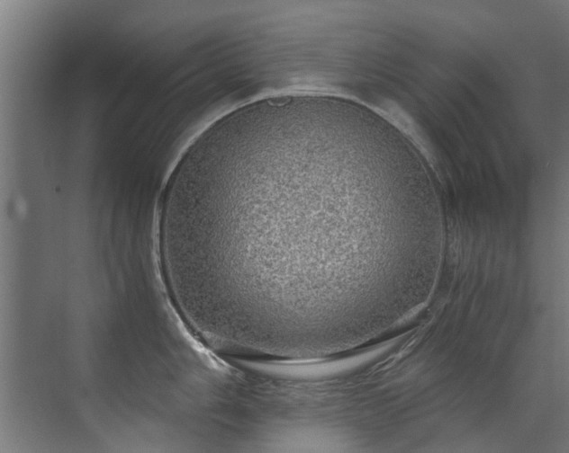 X0000071331006200606261242