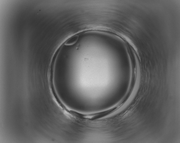 X0000071331007200606261242