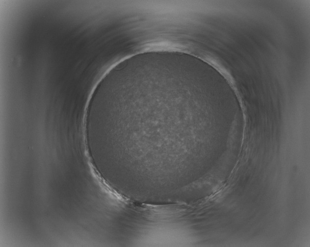 X0000071331008200606261242