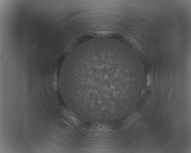 X0000071331011200606261241