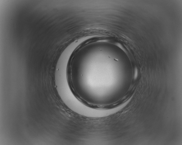 X0000071331014200606261241