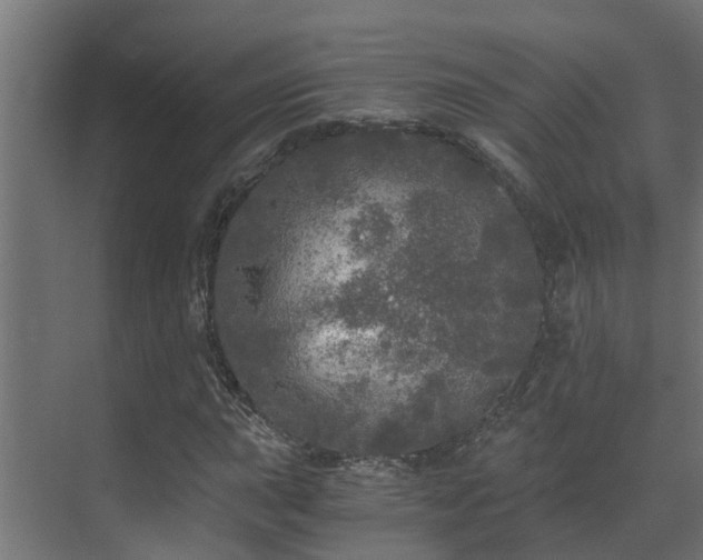 X0000071331015200606261241