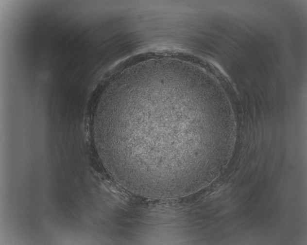 X0000071331016200606261241