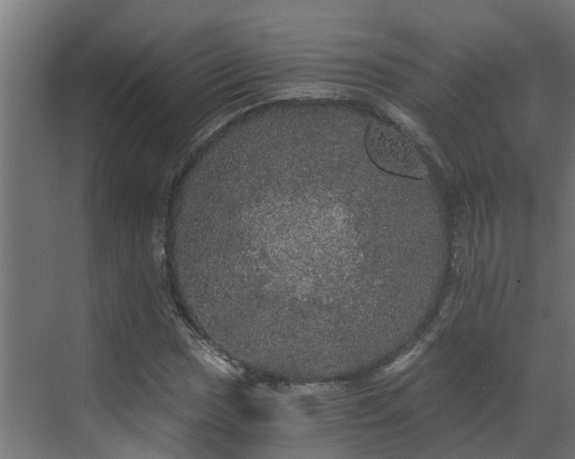 X0000071331017200606261241