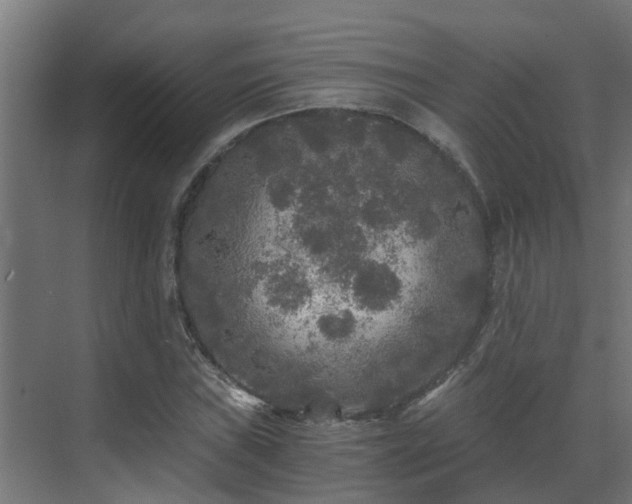 X0000071331019200606261241