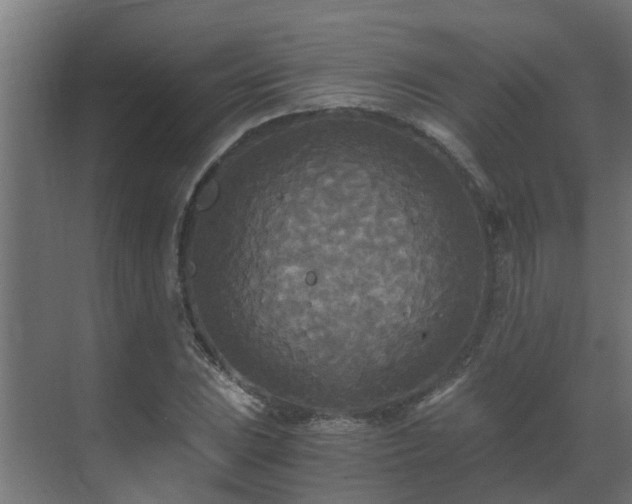 X0000071331023200606261241