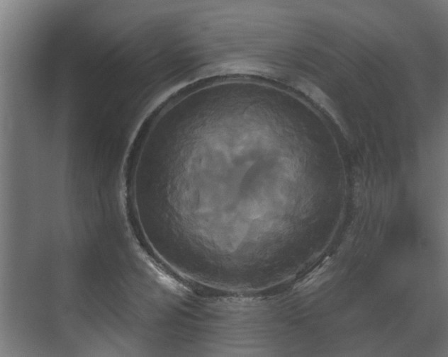 X0000071331024200606261241