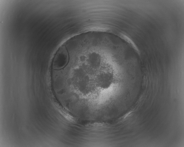 X0000071331027200606261241