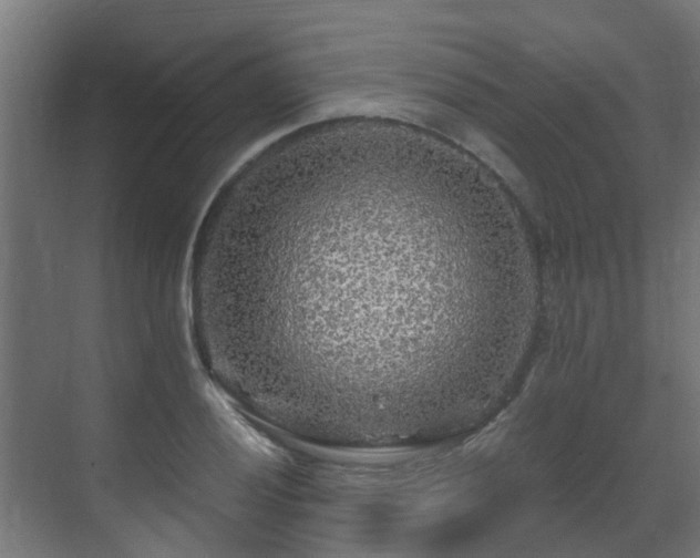 X0000071331028200606261241