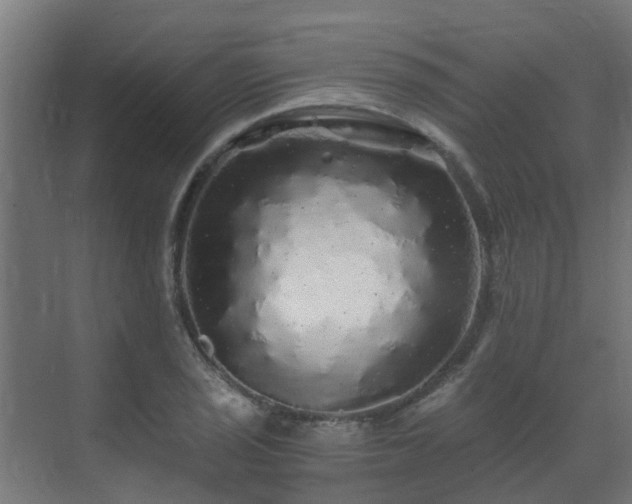 X0000071331029200606261241