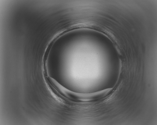 X0000071331034200606261241