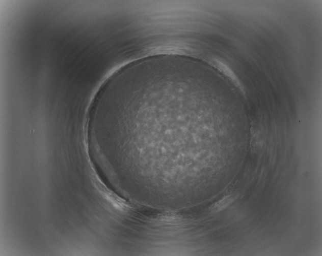 X0000071331035200606261241