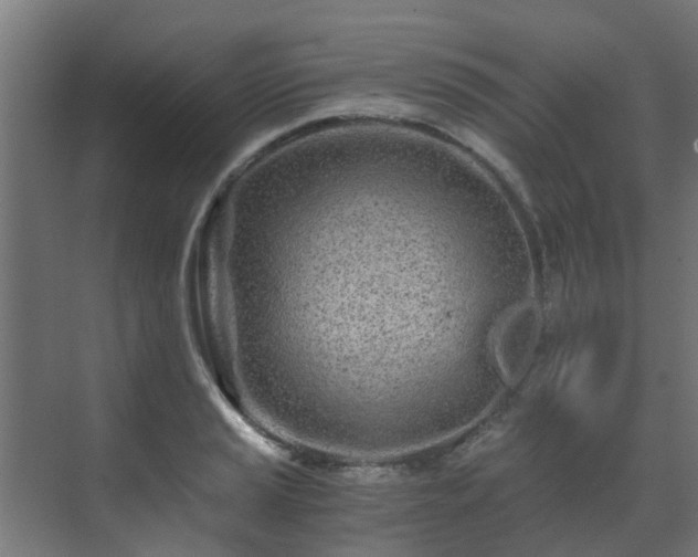 X0000071331037200606261241