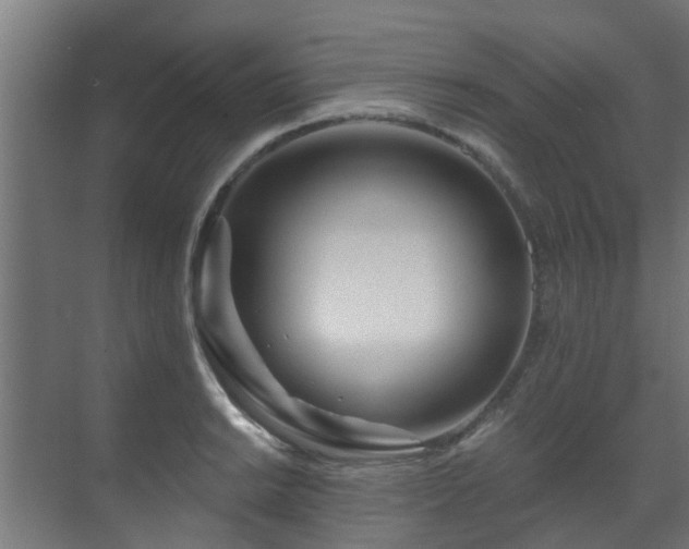 X0000071331038200606261241