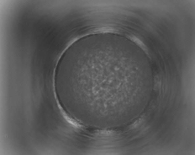 X0000071331039200606261241