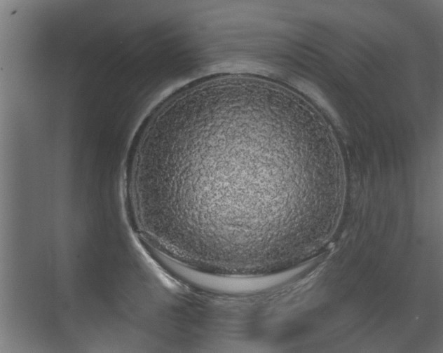 X0000071331040200606261241