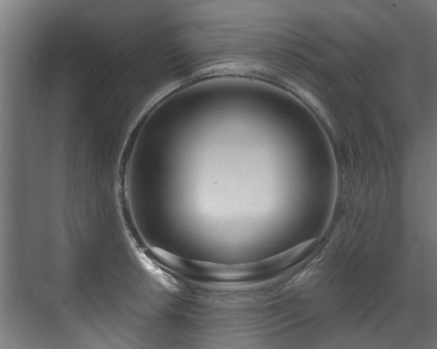 X0000071331042200606261241