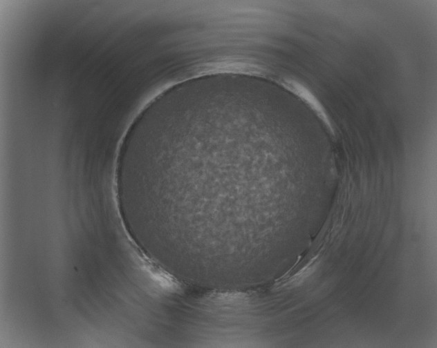 X0000071331043200606261241