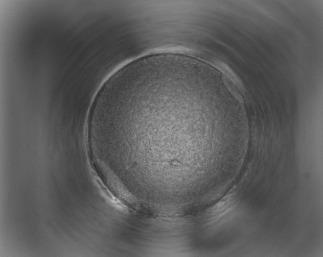 X0000071331044200606261241