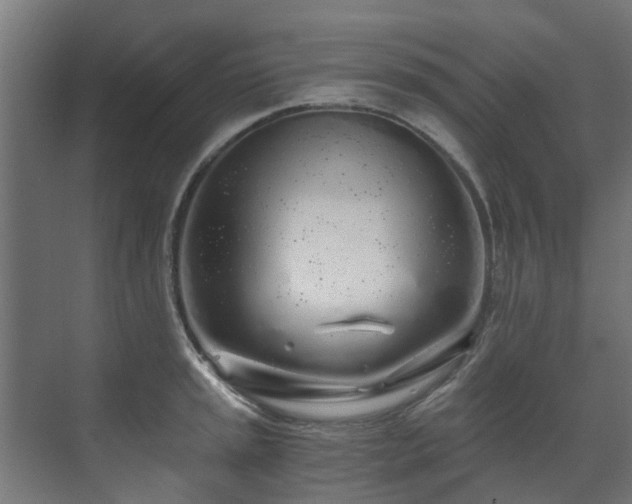 X0000071331045200606261241