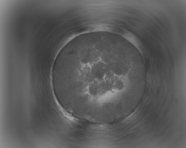 X0000071331047200606261241