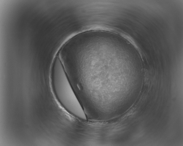 X0000071331048200606261241