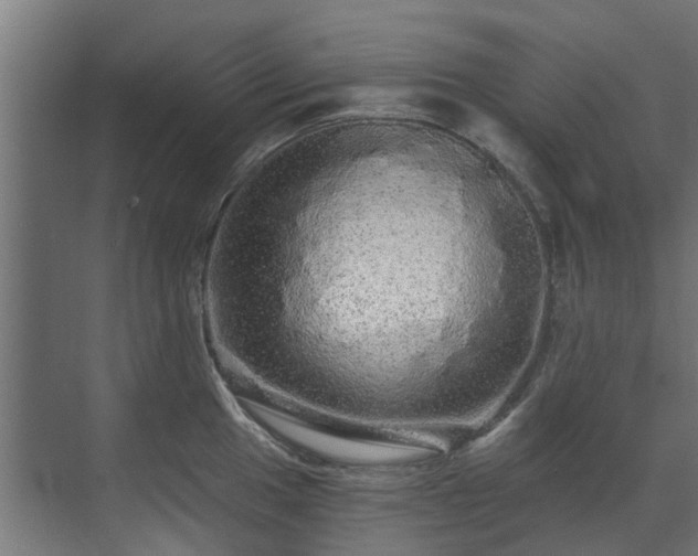 X0000071331049200606261242