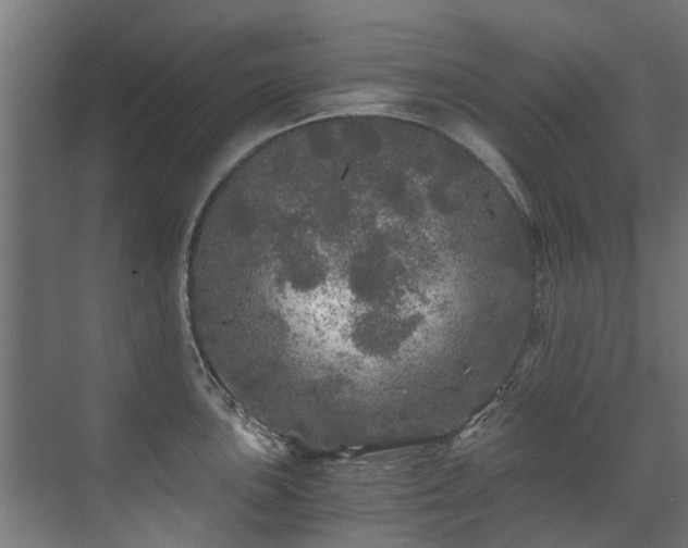 X0000071331051200606261242