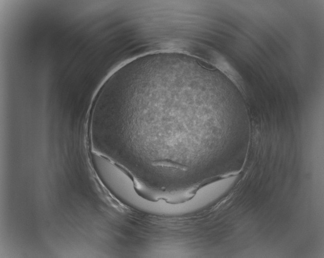 X0000071331052200606261242