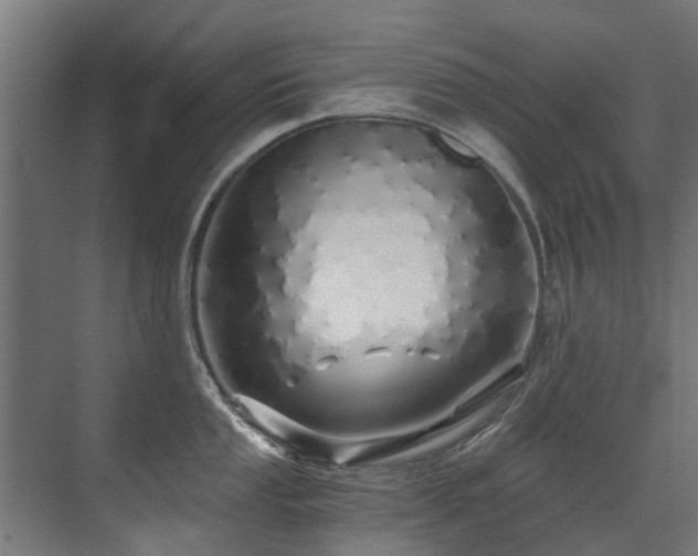 X0000071331053200606261242